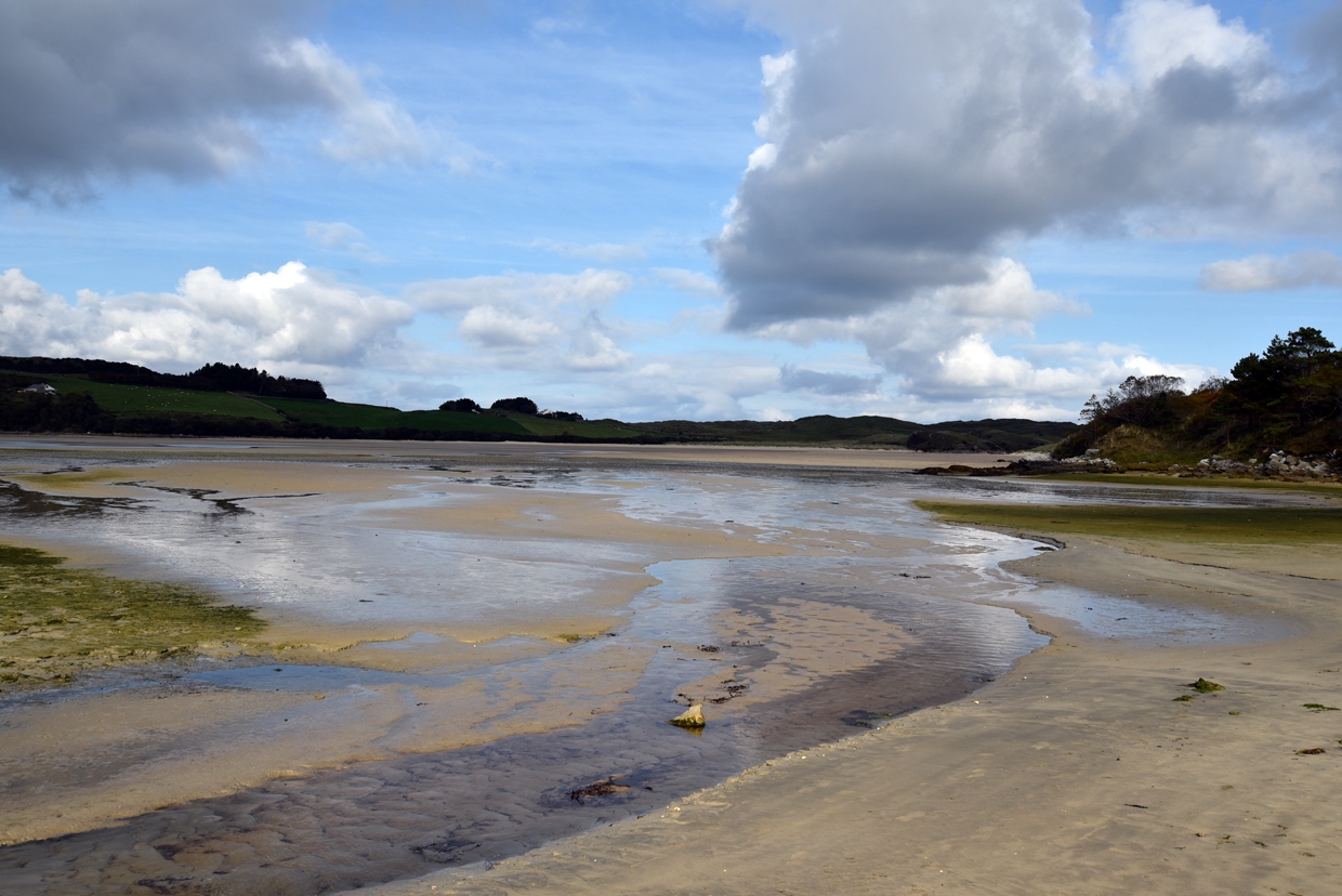 DSC_1785-2