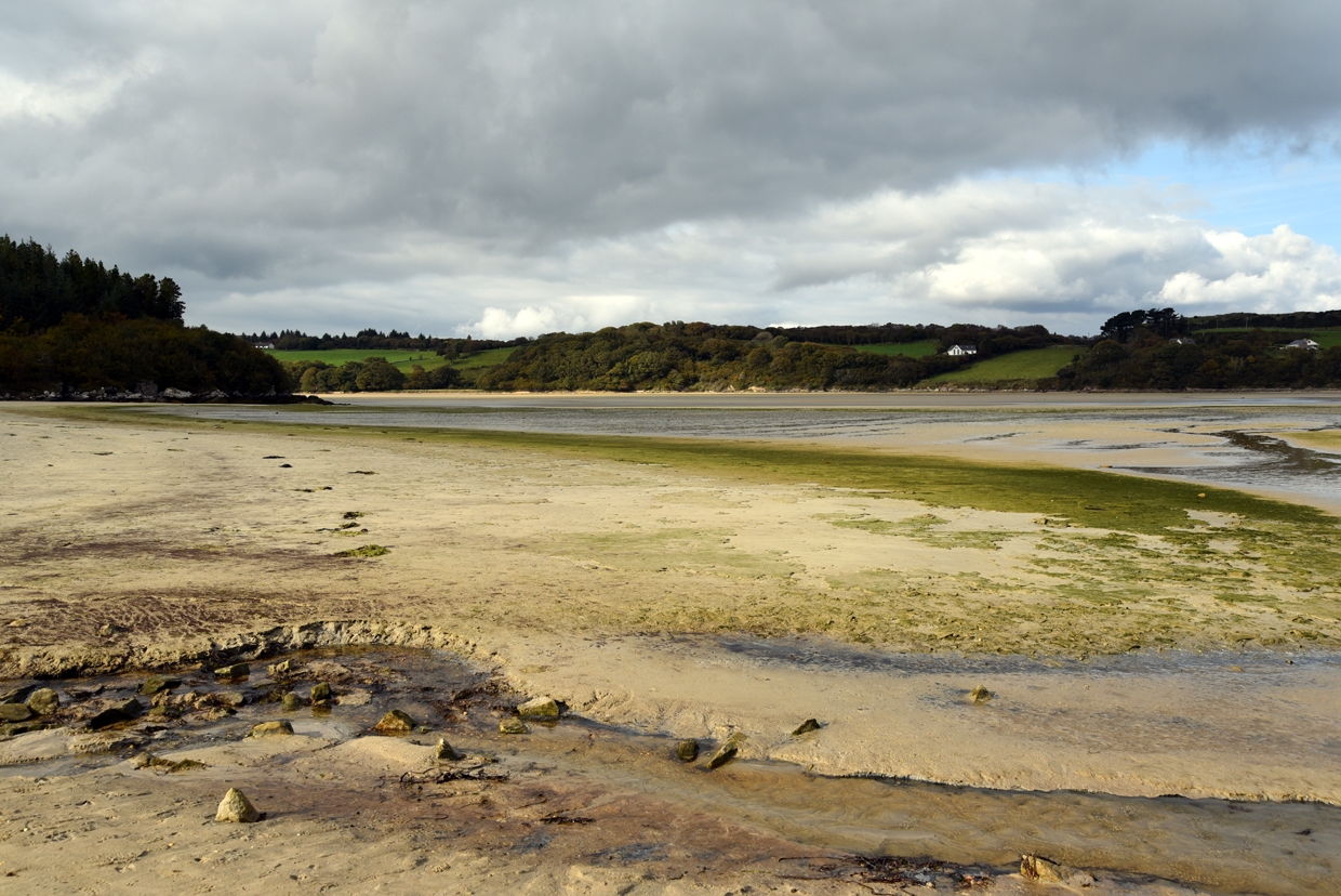 DSC_1786-2
