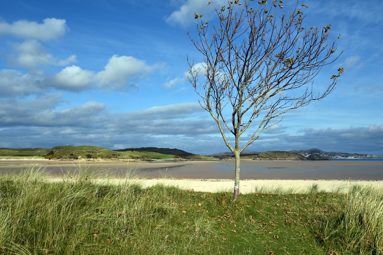 DSC_1931-2