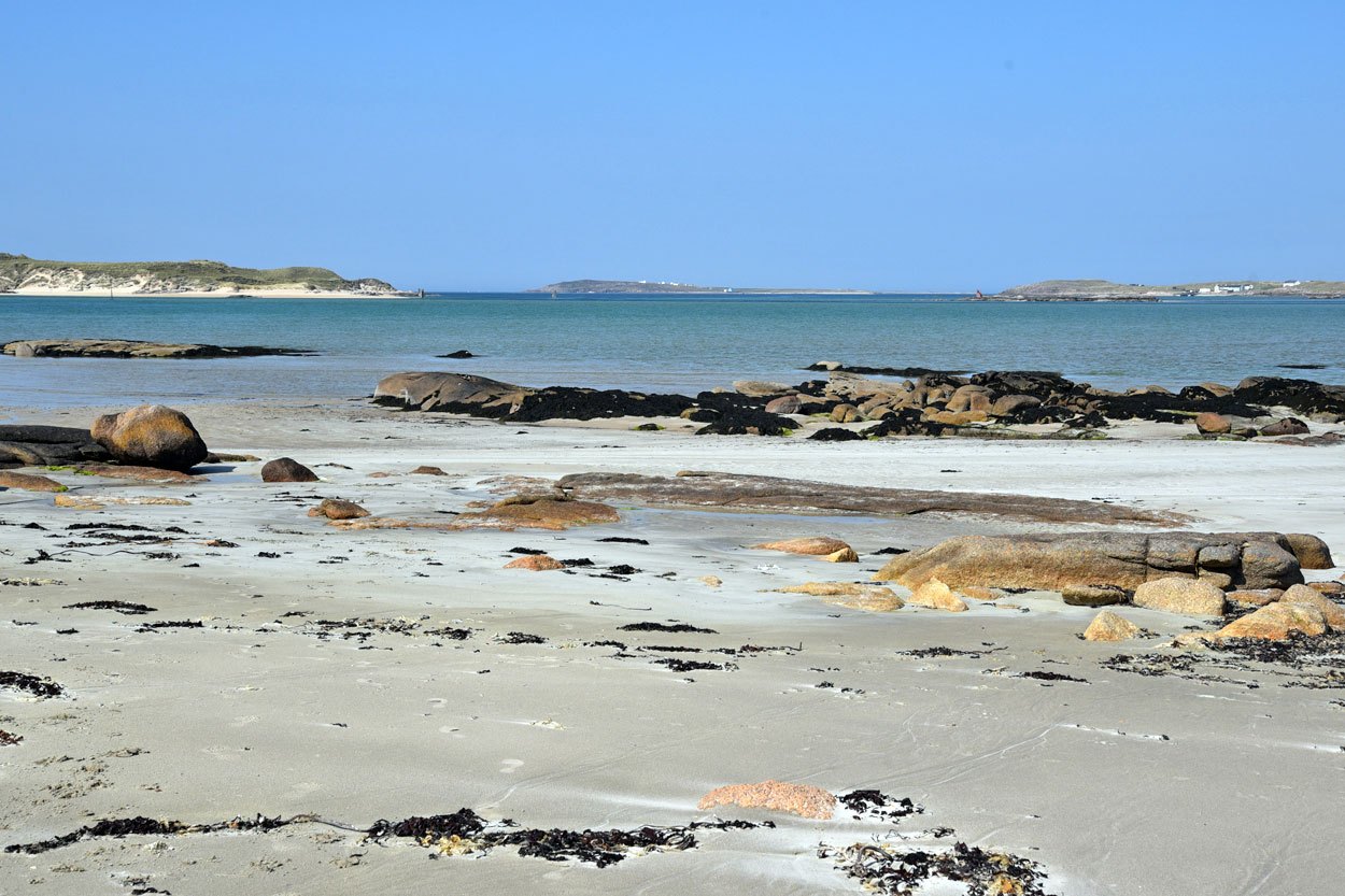 DSC_2580-1