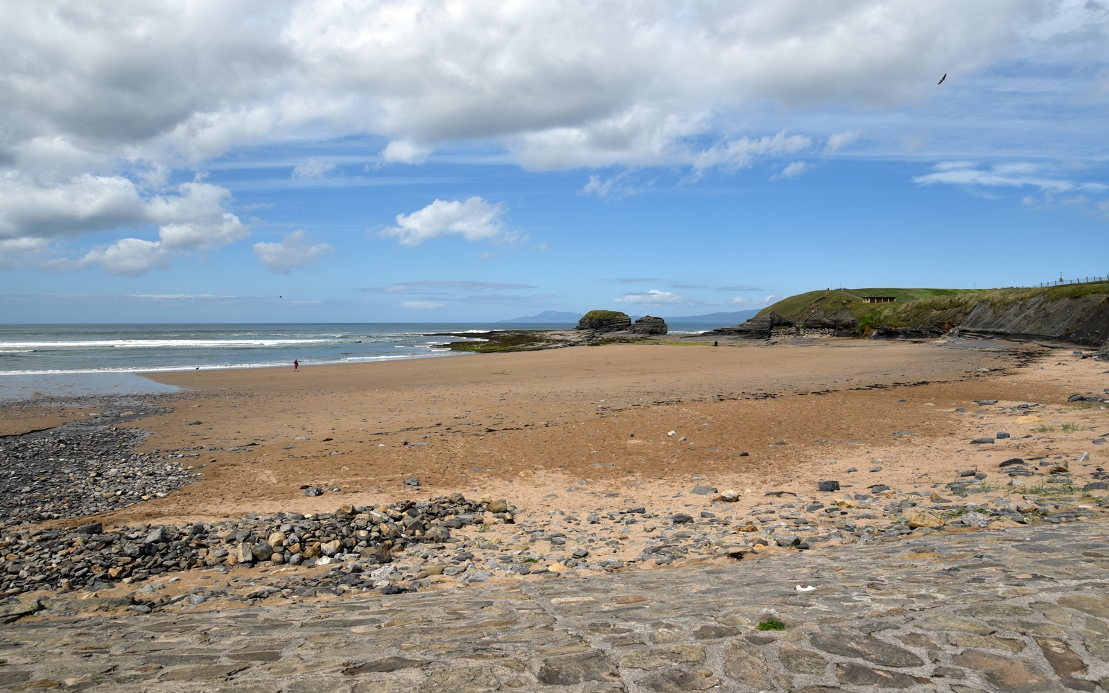 DSC_0067-1