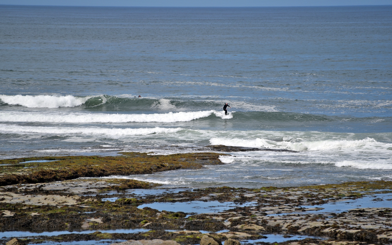 DSC_0082-1