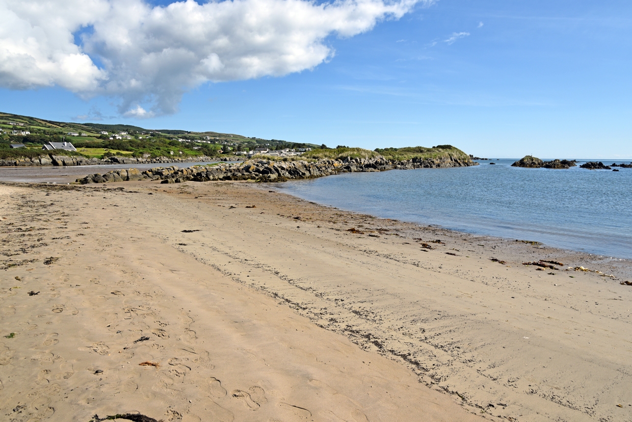 DSC_0361-1