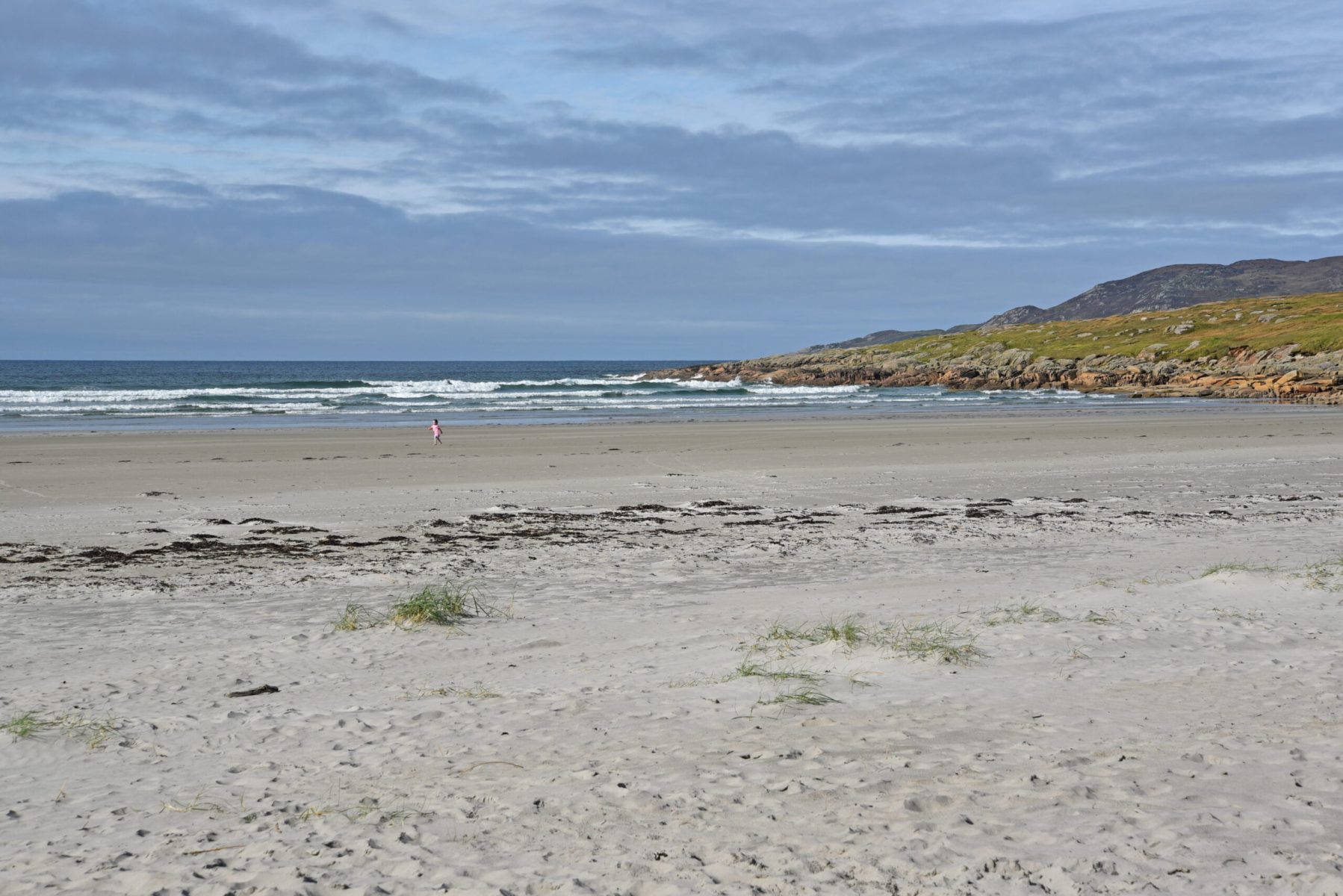 DSC_1250-scaled-1
