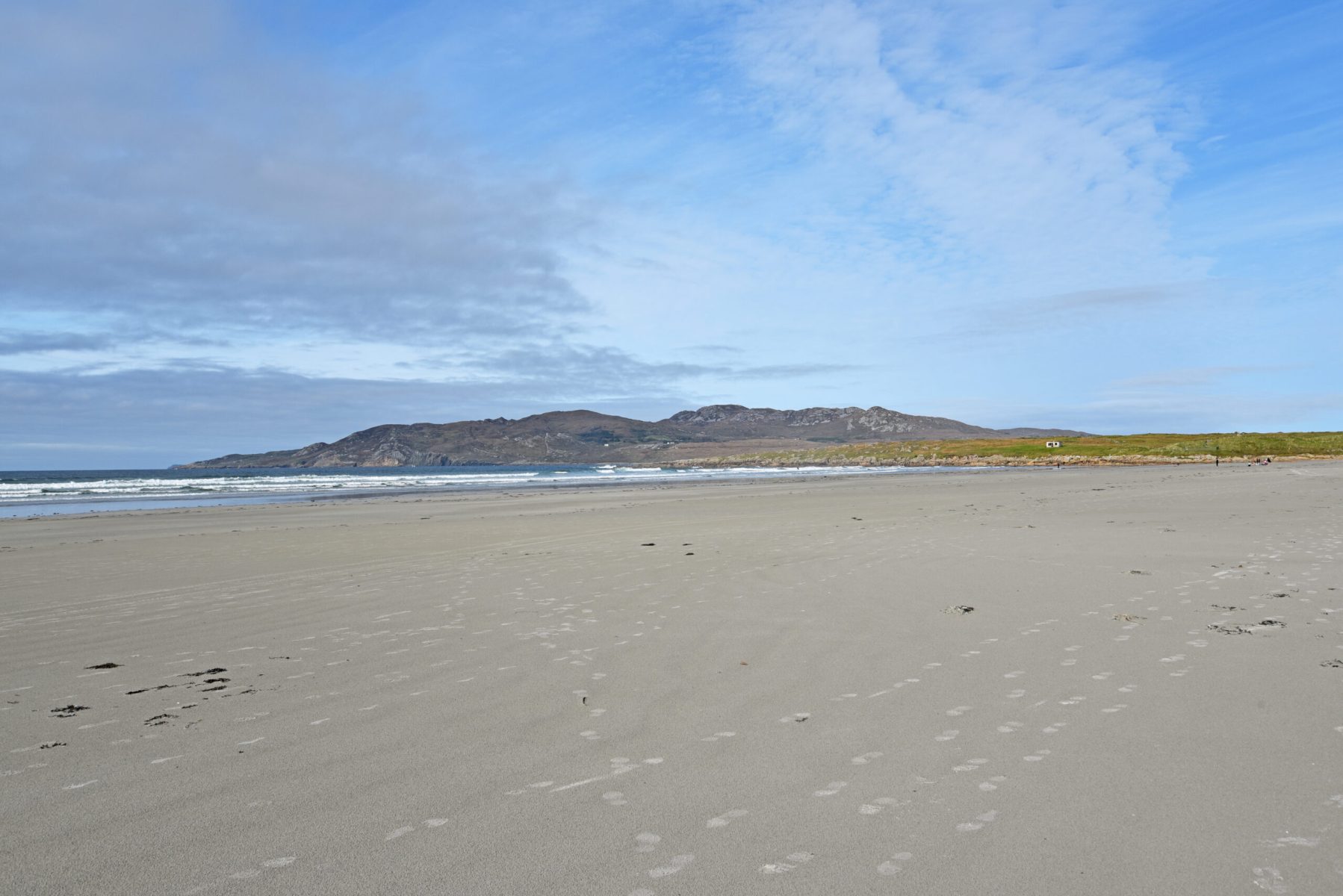 DSC_1260-scaled-1