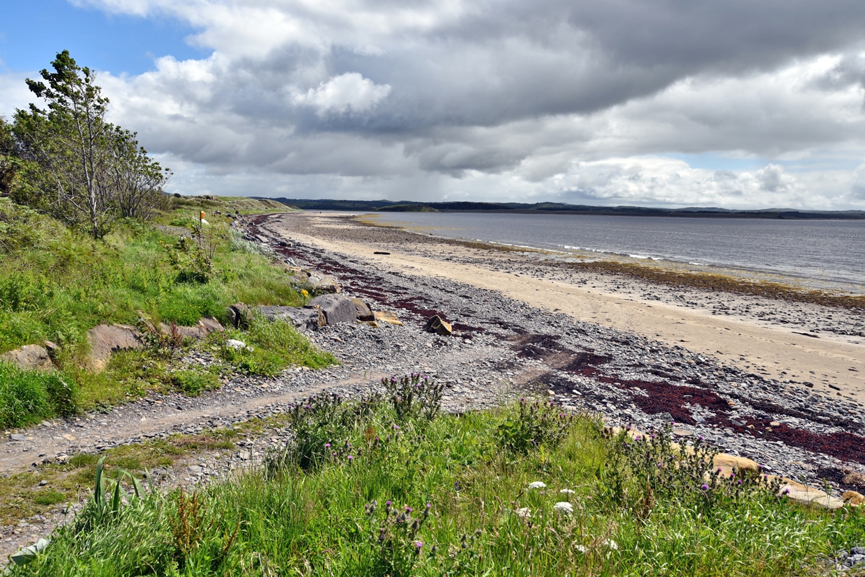 DSC_0539-1
