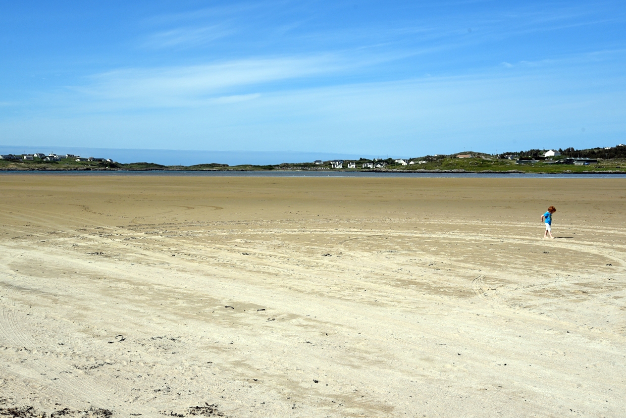 DSC_2869-1