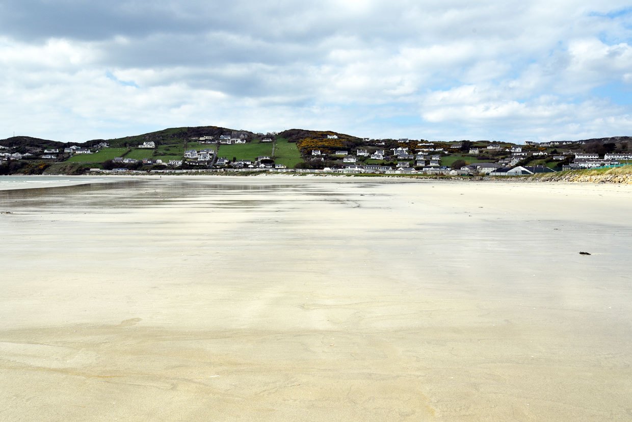 DSC_2267
