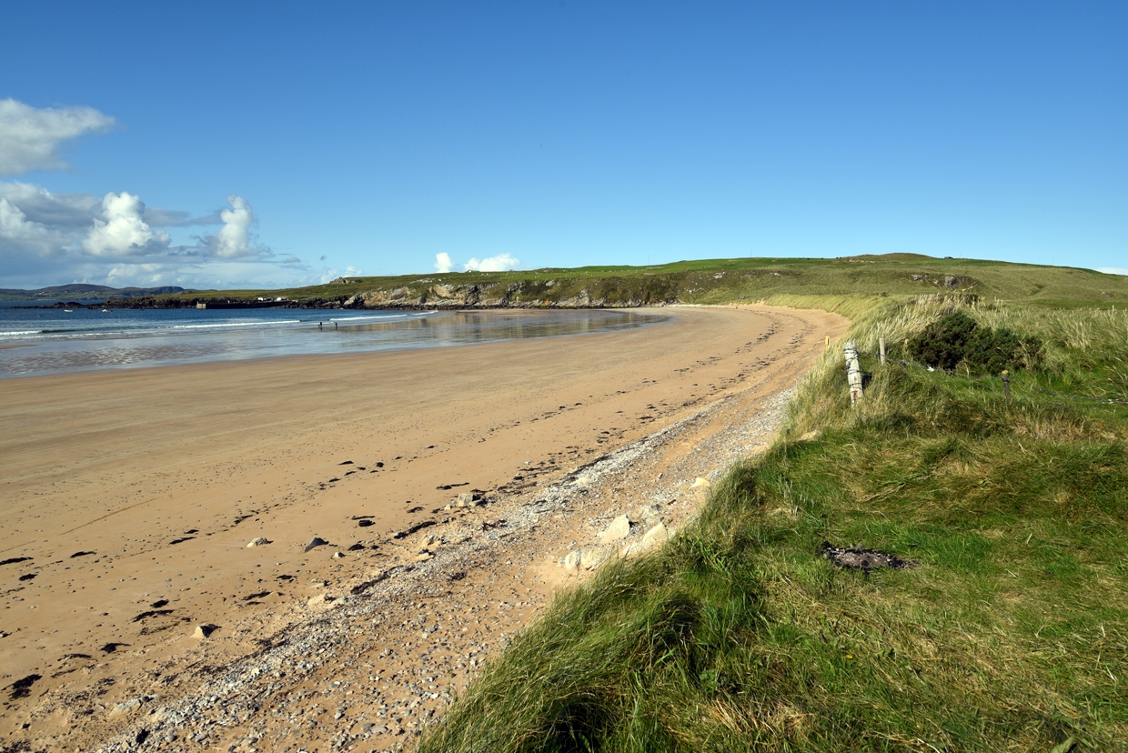 DSC_1536-1