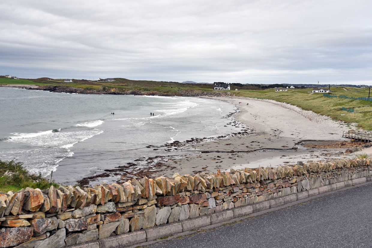 DSC_1286-1