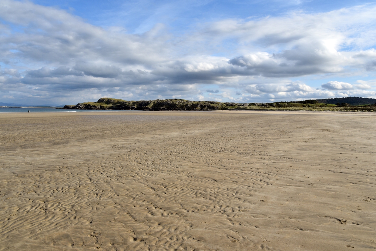 DSC_1965
