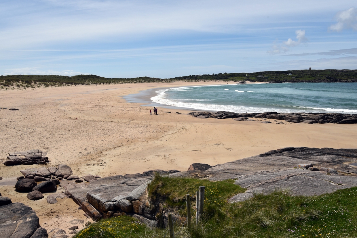 DSC_2707
