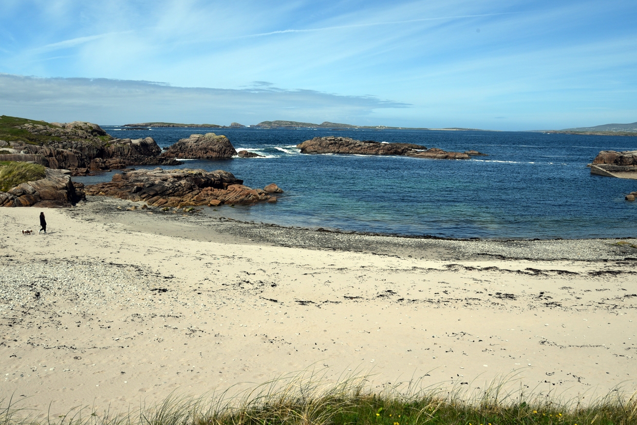 DSC_2778-1