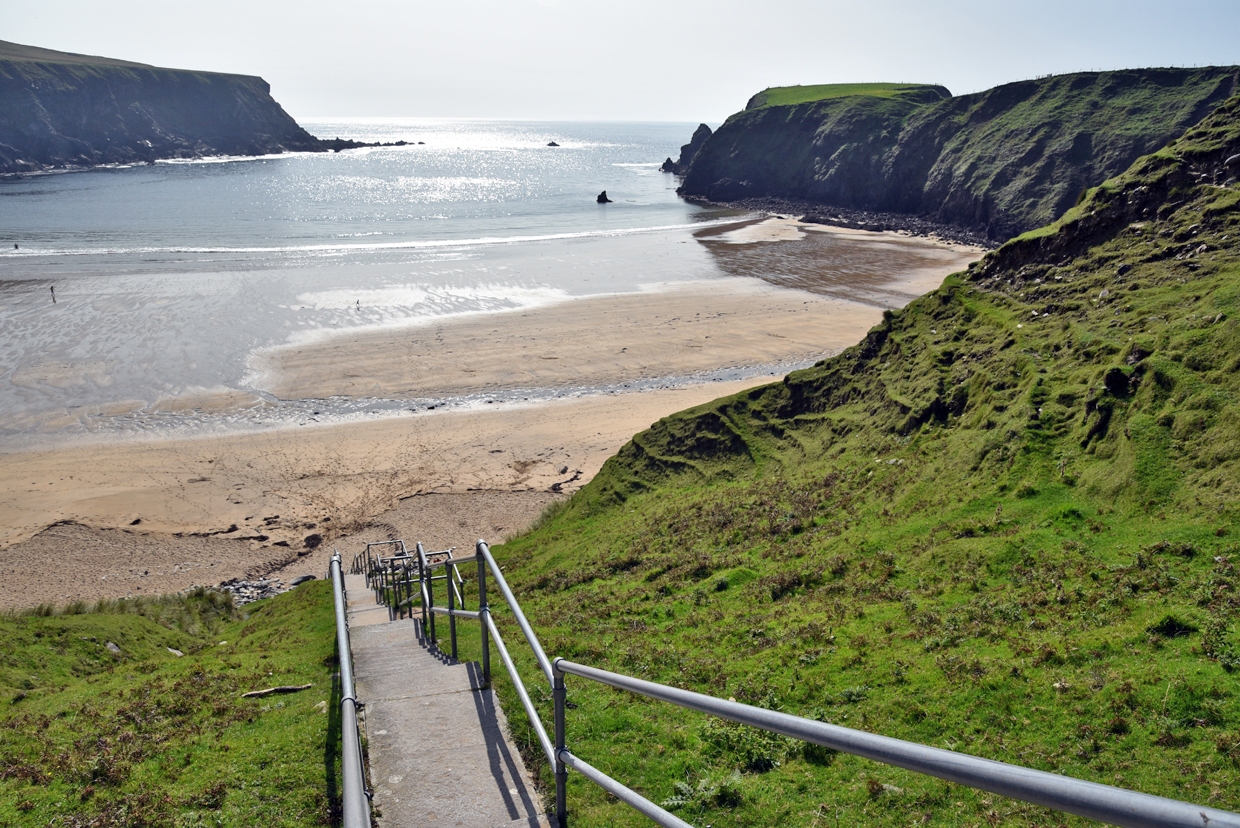 DSC_0853