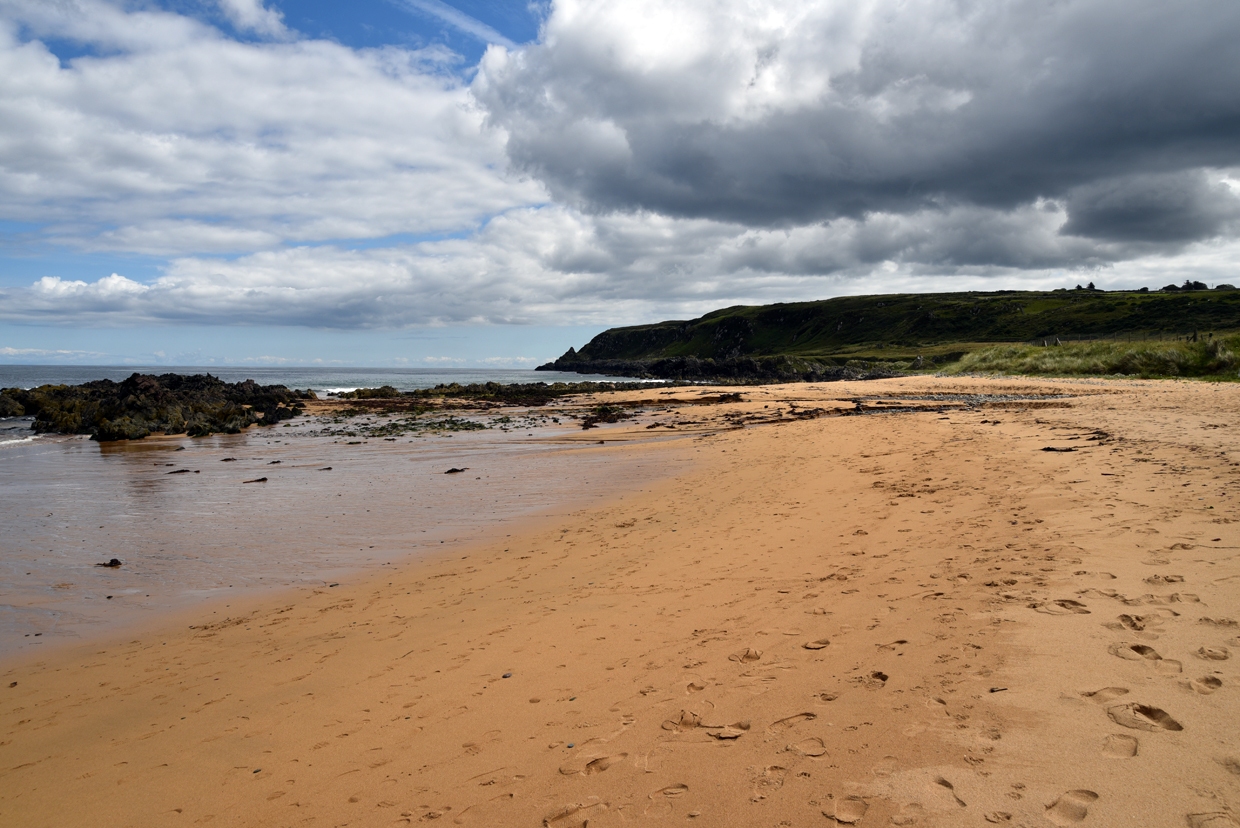 DSC_0404-1
