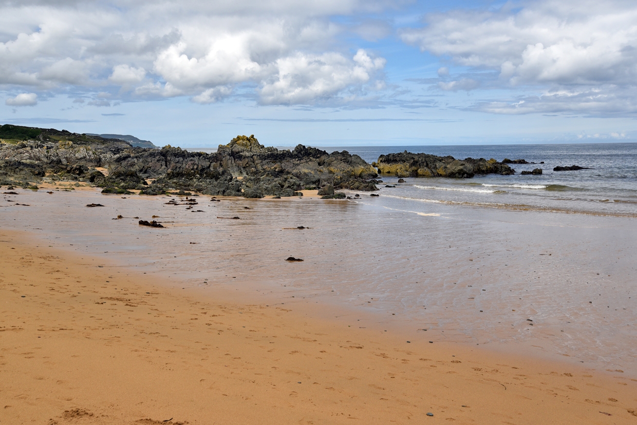 DSC_0406-1