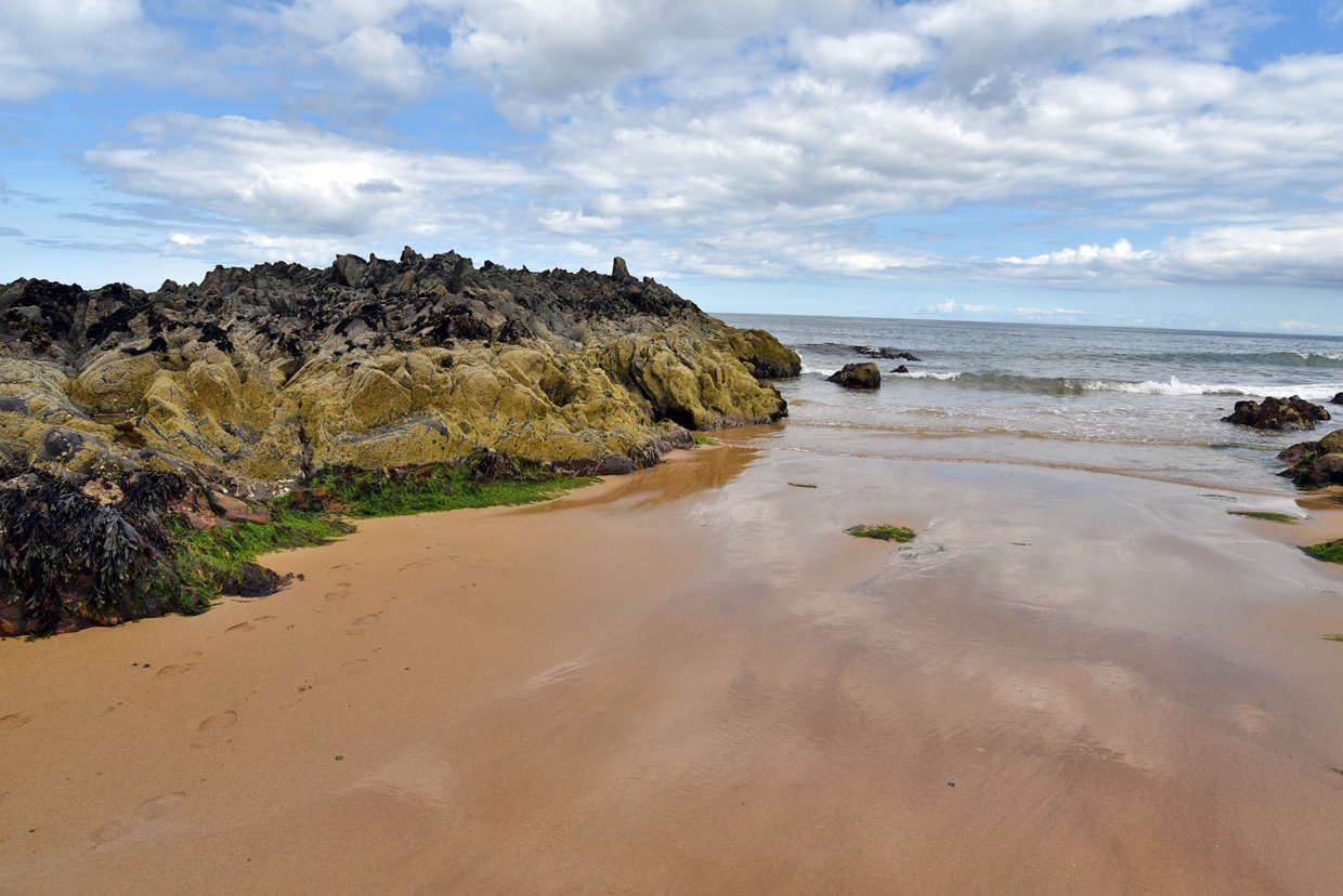 DSC_0422-2